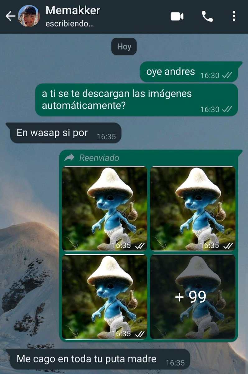 galiindo13's tweet image. 