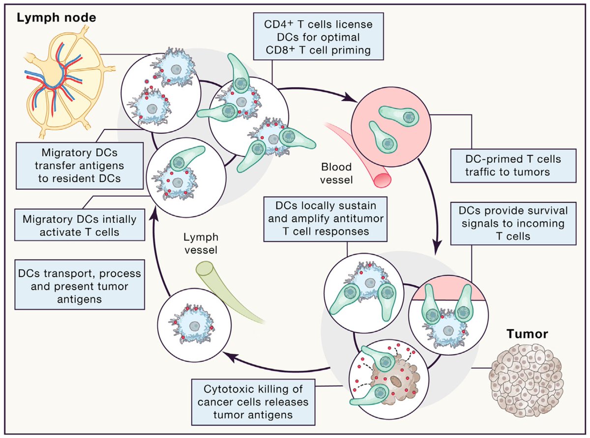 The Pittet Lab tweet media