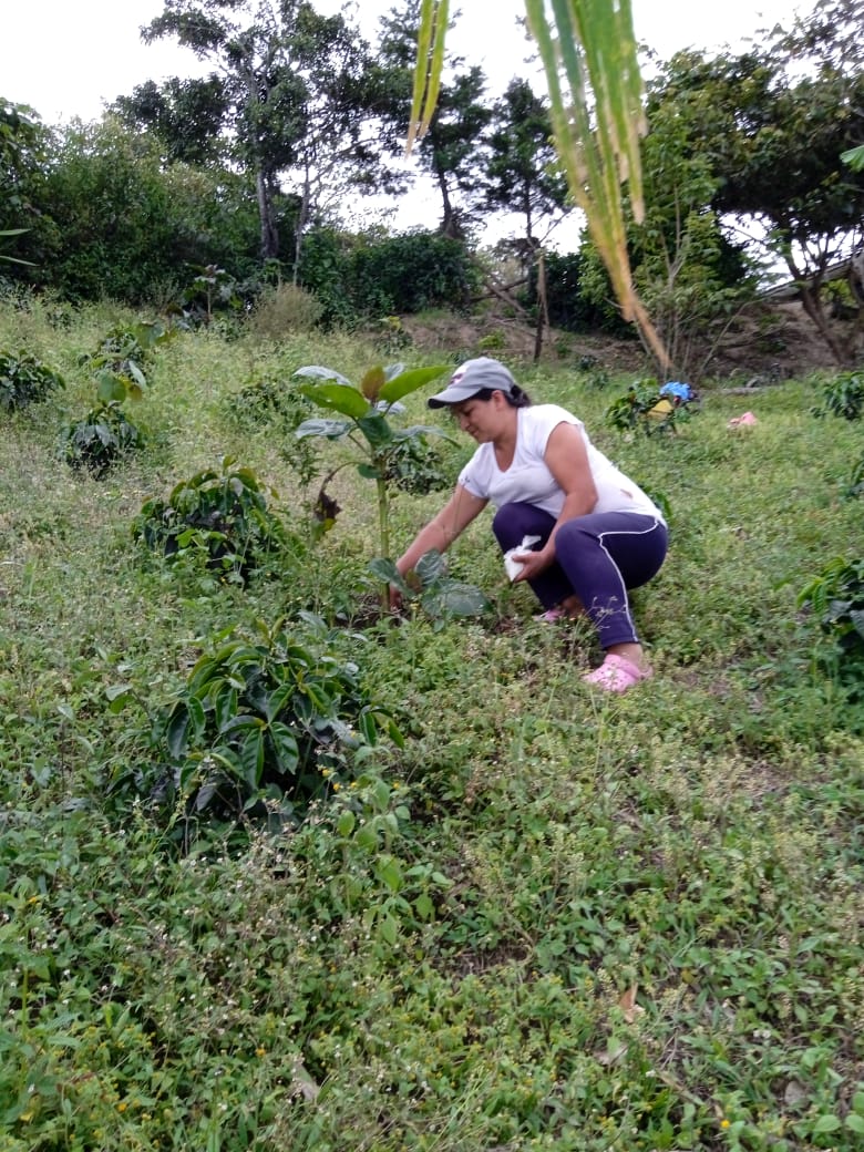 groasis's tweet image. There is another crisis hitting Kurdish communities in NES; Turkey has been restricting the flow of water into an area already hit hard by climate change. 
Rather than wasting all the water from the new wells,  provide these women with #Waterboxxes®; waterboxx.com/shop-2/?lang=en
