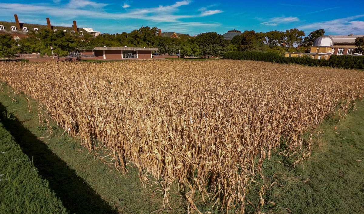 ACESIllinois's tweet photo. 🌾Morrow Plots Anniversary🌾

Today marks the 1876 founding of the U.S.'s first continuous crop rotation experiment by Professor Manly Miles.🌽

A nearly 150-year legacy informing our understanding of sustainable agriculture and soil fertility.🌱

Cheers to more discoveries! 🥳🔬 https://t.co/gqSm3ez36M