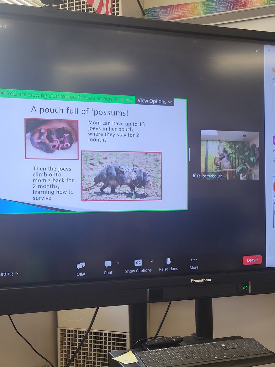 Crisaundra Butler (@crisaundraj) on Twitter photo Our G.T. Scholars are enjoying the Noctural Nature webinar this morning! <a href="/GoodmanACE_LMC/">Goodman ACE Library</a> <a href="/GoodmanES_AISD/">Goodman ACE Elementary School</a> <a href="/WardLadon/">LaDon Ward</a> Our G.T. Scholars are enjoying the Noctural Nature webinar this morning! <a href="/GoodmanACE_LMC/">Goodman ACE Library</a> <a href="/GoodmanES_AISD/">Goodman ACE Elementary School</a> <a href="/WardLadon/">LaDon Ward</a>