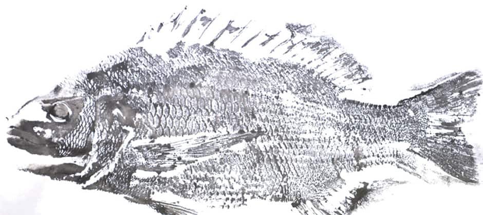 The final positions of your stones on the goban are just like the gyotaku ink print of a fish:  they preserve a moment of victory - and defeat, otherwise forgotten - board cleared after the game, fish eaten after the catch.