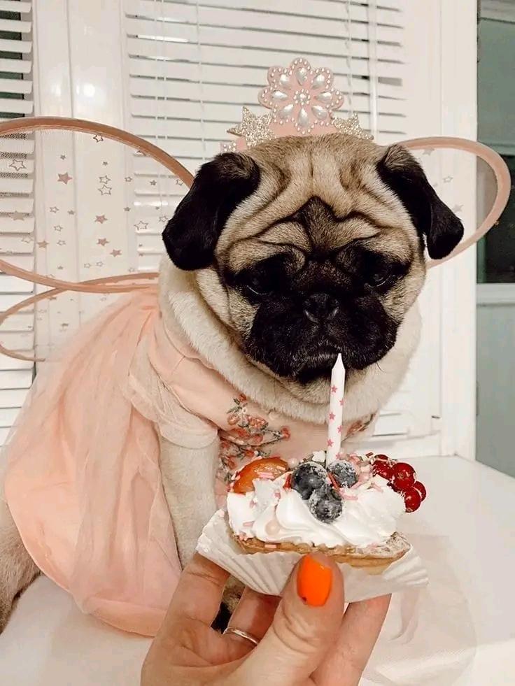 Happy birthday ❤️❤️