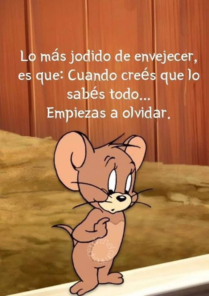 ✨Bl@nch S@lolin✨ (@salolinblanca) on Twitter photo 