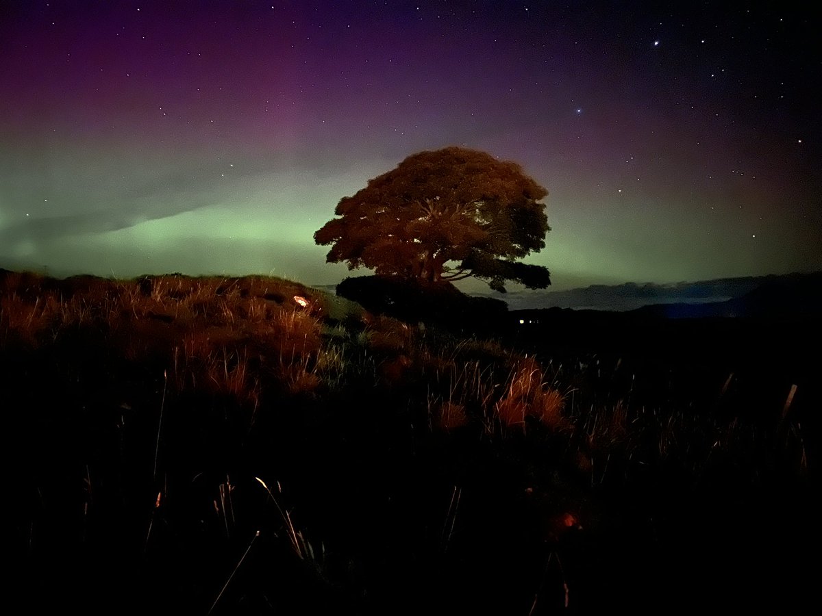 ewandg's tweet image. Northern lights last night #isleofislay #northernlights #aurora