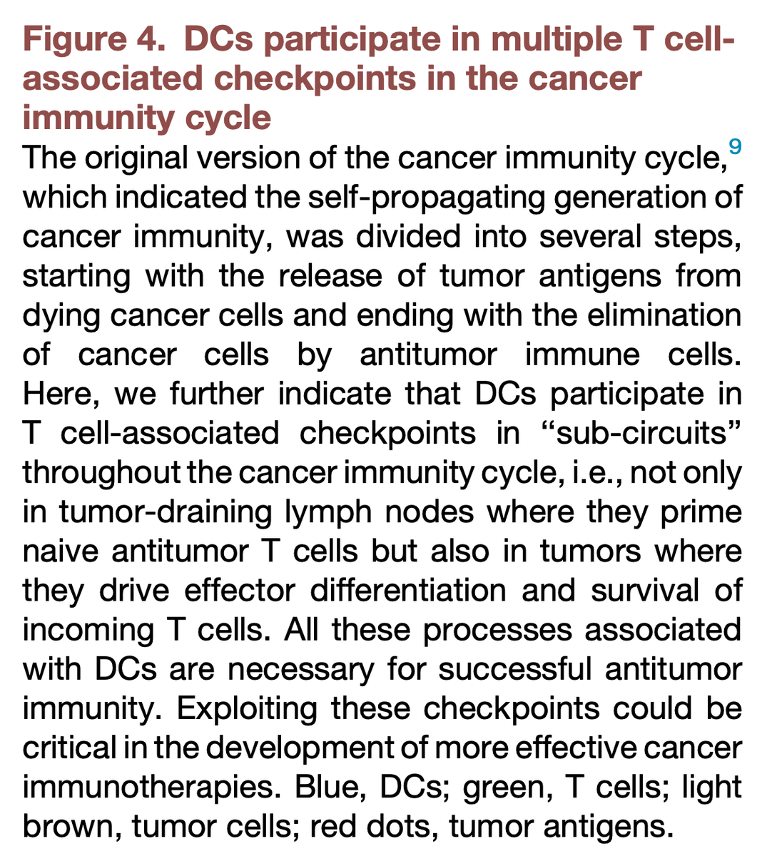 The Pittet Lab tweet media