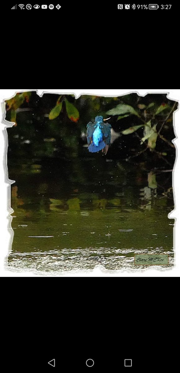 Clarachough's tweet photo. @WWTArundel From the Discovery Hide https://t.co/vHbXc6sruv