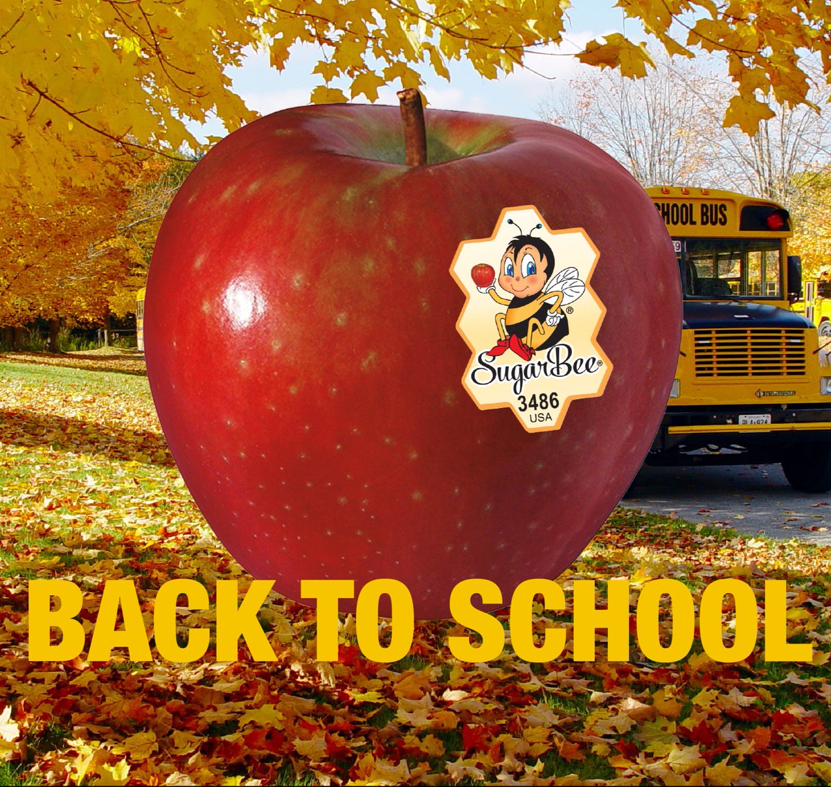 SugarBeeApple's tweet photo. Introducing the sweetest addition to your lunchbox lineup! 🍎🐝
SugarBee® is buzzing onto shelves this October. Don't miss out on the perfect snack to fuel your day! #SugarBee #OhHoneyThatsGood https://t.co/aNYeqHLQRR
