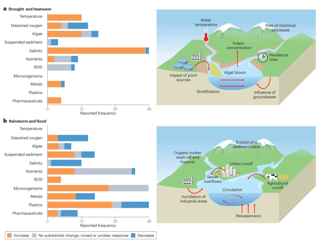 🚨New Review! Global river water quality under climate change & hydroclimatic extremes 🏞️🌦️ @Michelle_vVliet et al. assess the key responses and mechanisms impacting river water quality nature.com/articles/s4301…