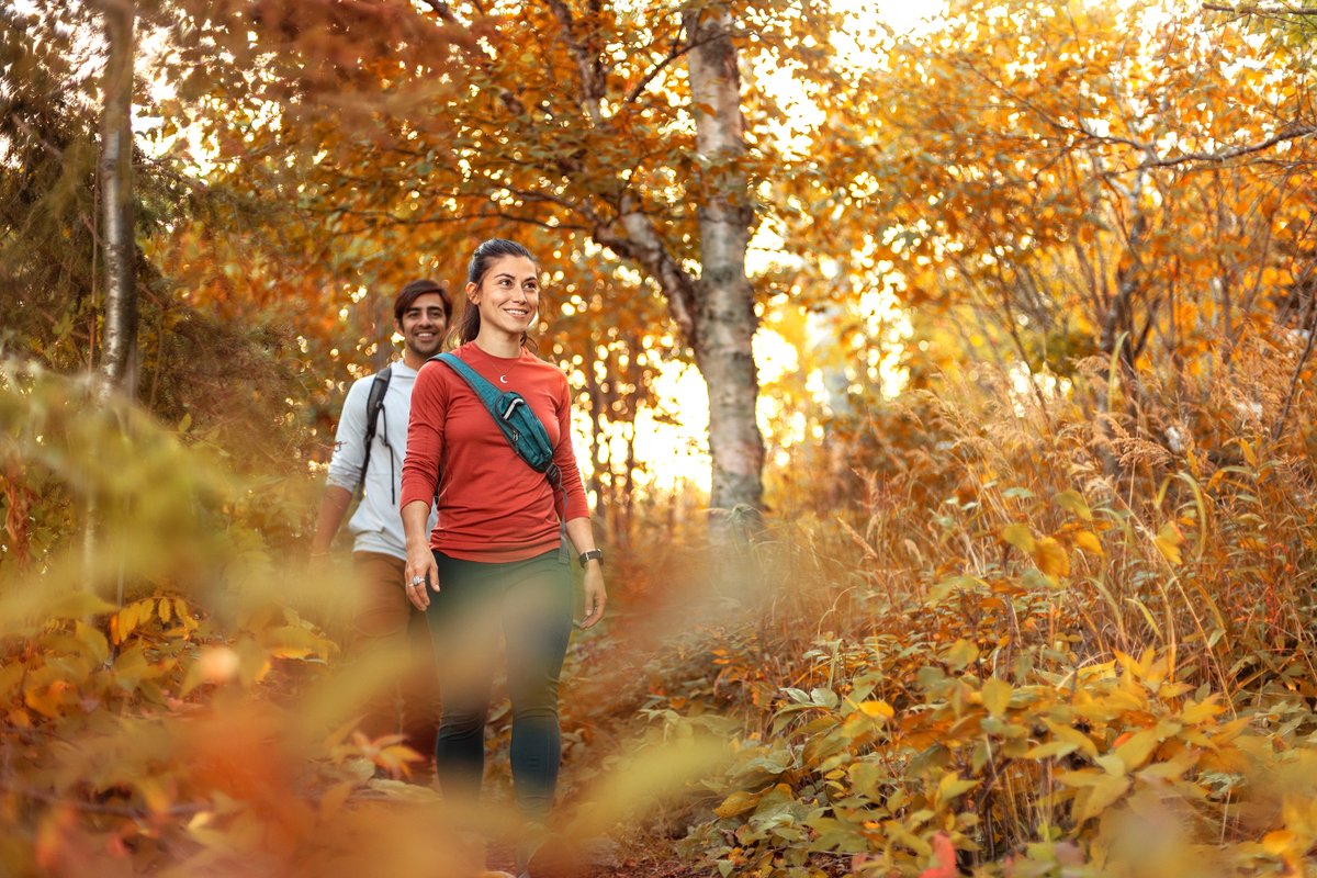exploreminn's tweet photo. Find stellar fall colors at a @mnstateparks this weekend! Use the @minnesotadnr Fall Color Finder to plan your visit. #MnStateParks #OnlyinMN https://t.co/BWdoQc9vxi https://t.co/uOXQRYywbR
