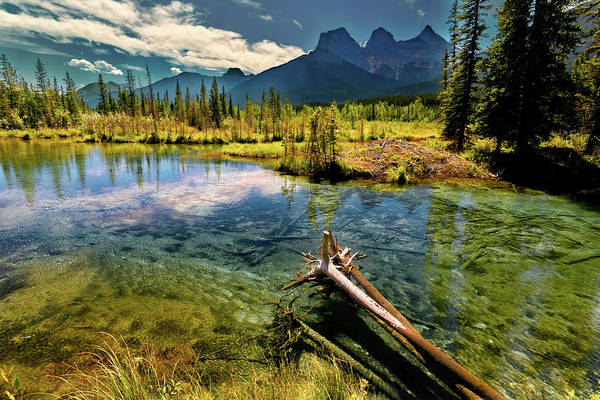 nbrandsberg's tweet photo. Banff National Park Glacial Mountain River:
https://t.co/gt58DCTTFb
More art: https://t.co/gatFnnyf4h
#canmore #banfflandscape #canmoreriver #banffmountain #banffriver #glacialriver #canada #art4mom #landscapephotography #art4mom #AYearForArt #travelphotography https://t.co/xQG6il4B9D