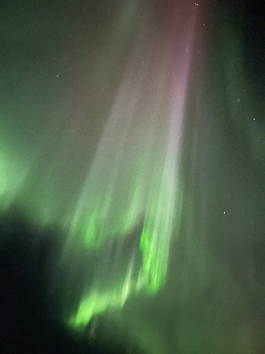 HannahHereward's tweet photo. Delighted to be back up in the Faroe Islands this year joining in the #stormie monitoring! A stunning first day - beautiful blue sky and sun for monitoring (stormies have such an amazing smell 🤩) and a successful evening #GPStagging an adult amidst an incredible aurora!! https://t.co/meu5Gbm6PI
