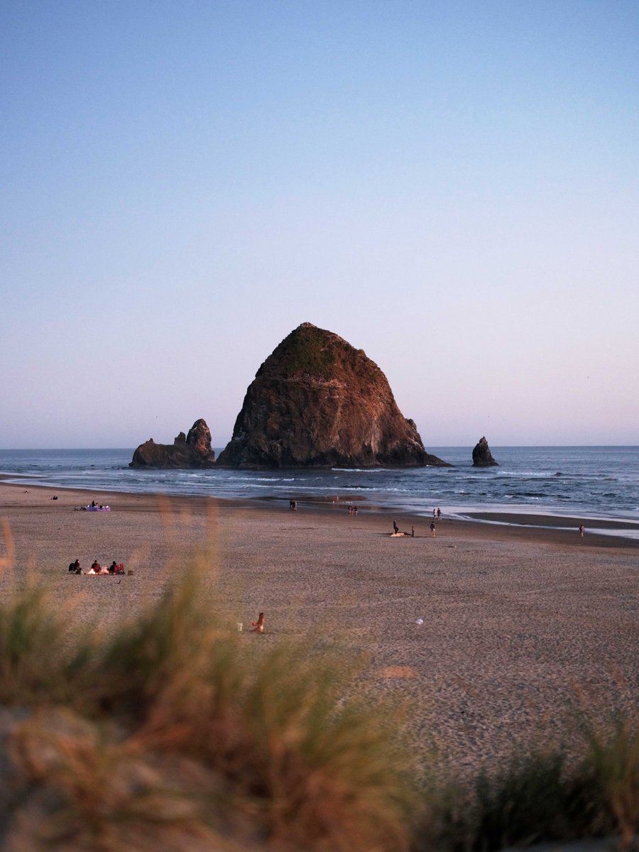 David ImeI tweet media