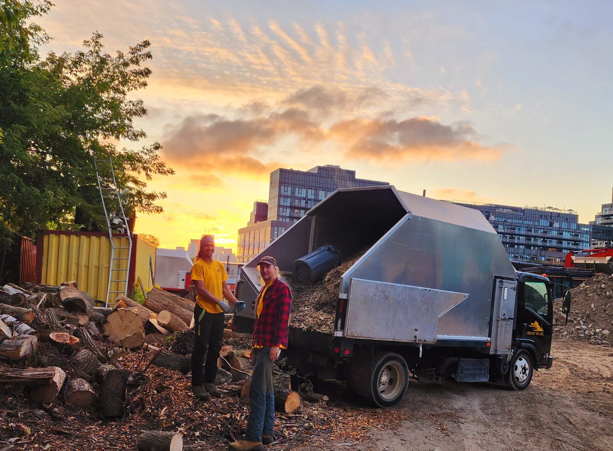 It’s a beautiful day to have a beautiful day! But first, let’s clean up the yard! #torontoarborist #heritagetreecare #treepeople #treecare #arborists