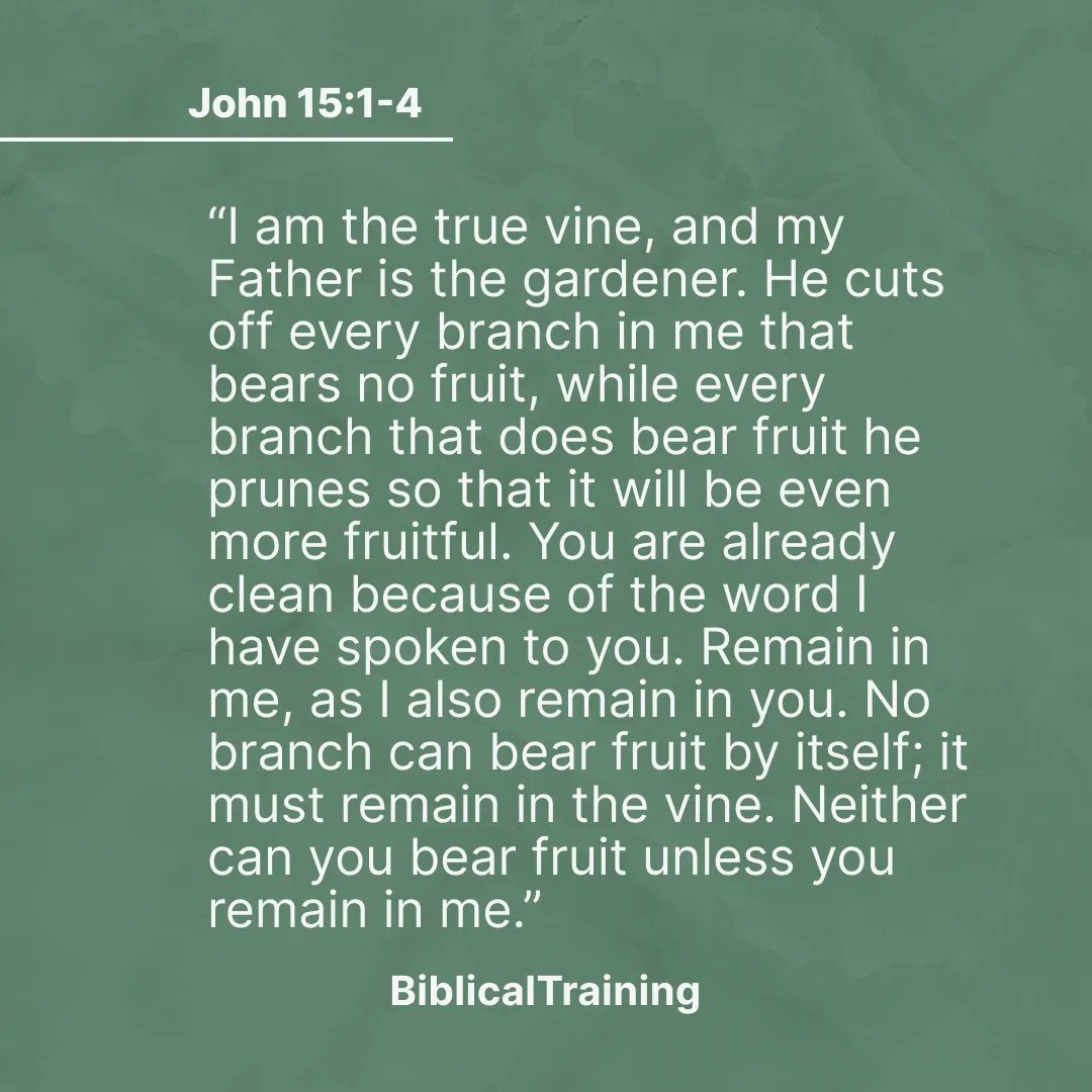BiblicalT's tweet photo. Everything hinges on our love relationship with God because it is from that, that we become a disciple. If you want to learn more about discipleship, watch our class "Abiding in Christ" in our series "Disciplemaking." https://t.co/a5mY3LwGdc #BibleTraining #BiblicalFluency https://t.co/NoFDjfXyMo