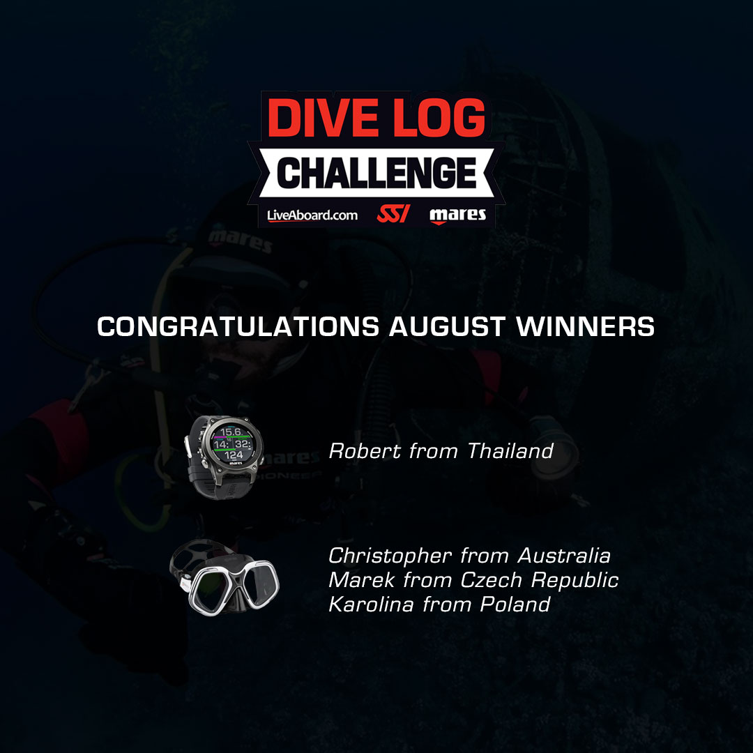 Congratulations to the winners for August!🍾

There's still September and for this month, there's the grand prize - a liveaboard trip to Egypt with LiveAboard.com! Dive, tag marine life using the MySSI app, and win! 
divessi.com/divelogchallen… 

#wearessi #divelogchallenge