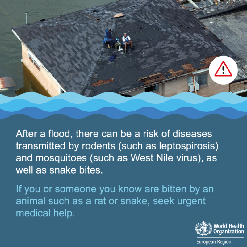 WHO_Europe's tweet photo. #Floods can happen anytime, anywhere 🌊

🔵 What to do during and after floods?
🔵 How can I reduce the harm to my health during a flood?

Check out this public health advice to protect your health and keep safe! 👇
