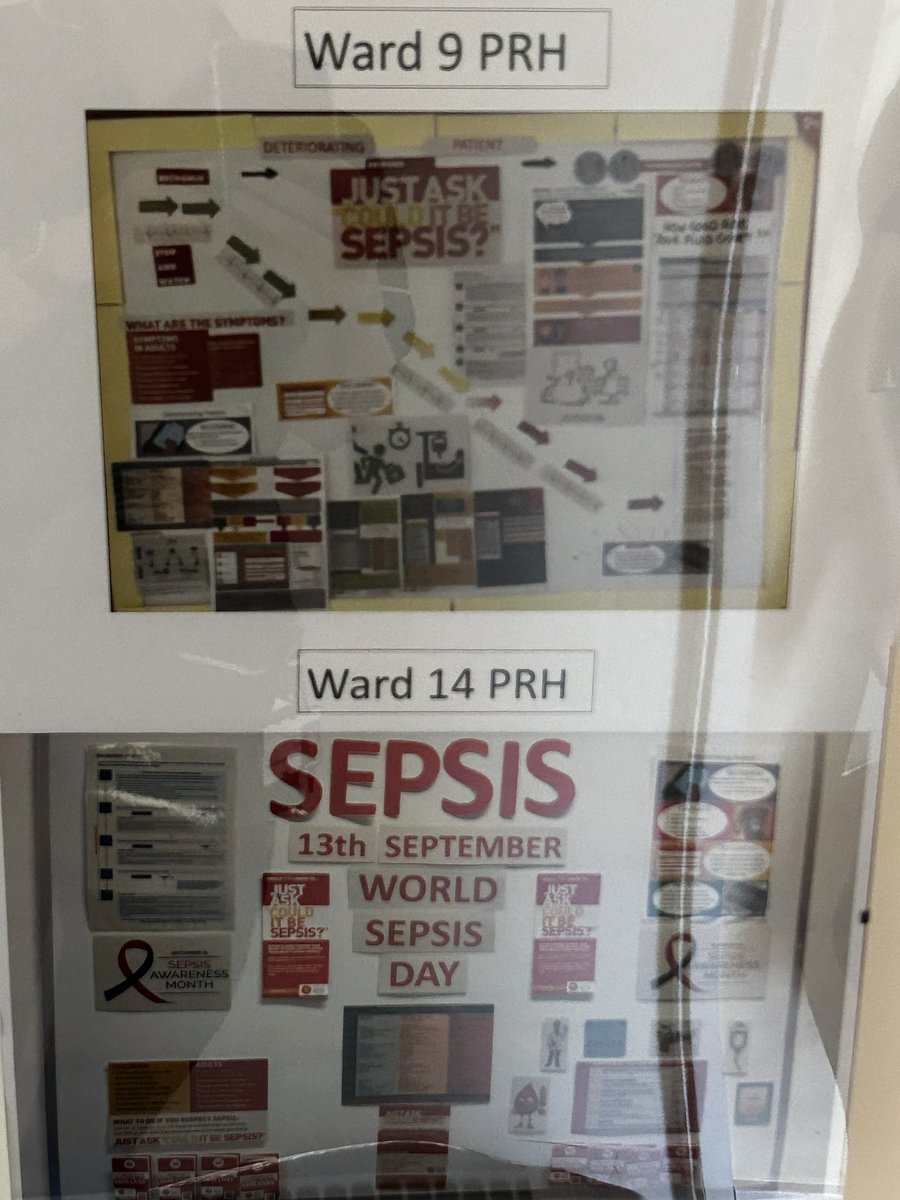 Sathsepsis's tweet photo. Recognising world sepsis day, great start to our ward information board competition to help raise awareness around patient deterioration, escalation response incorporating early recognition of sepsis! @flavell_hayley @SaTHCorpNursing @sathNHS  @UKSepsisTrust @SathCharity https://t.co/1Oss3B1BYM