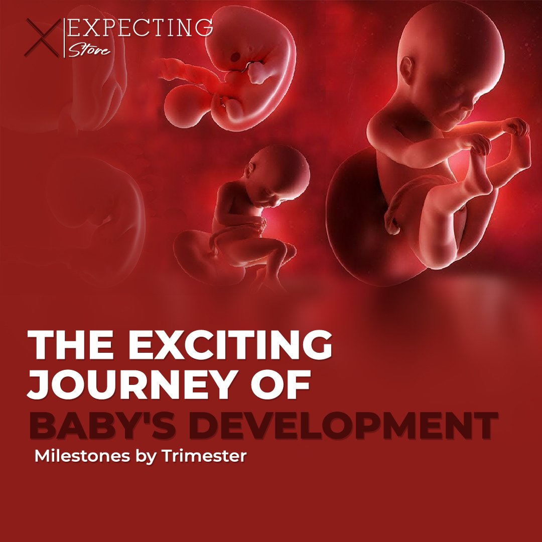 From tiny miracle to flourishing life. Stay tuned as we explore the exciting journey of baby's development, celebrating milestones reached during each trimester. Discover developmental resources at @ExpectingStore. 👶🌱 #BabyMilestones #PregnancyJourney