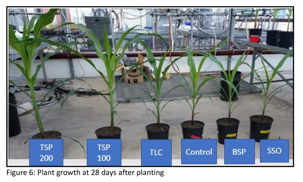 Soil Science Society of America Journal (@sssajournal) on Twitter photo New in SSSAJ! #Phosphorus availability and corn response to application of P-based commercial organic fertilizers to a calcareous soil - #OpenAccess study by Kodaolu, Mohammed, Gillespie, Audette & Longstaffe doi.org/10.1002/saj2.2…
<a href="/UofG_SES/">School of Environmental Sciences</a> New in SSSAJ! #Phosphorus availability and corn response to application of P-based commercial organic fertilizers to a calcareous soil - #OpenAccess study by Kodaolu, Mohammed, Gillespie, Audette & Longstaffe doi.org/10.1002/saj2.2…
<a href="/UofG_SES/">School of Environmental Sciences</a>