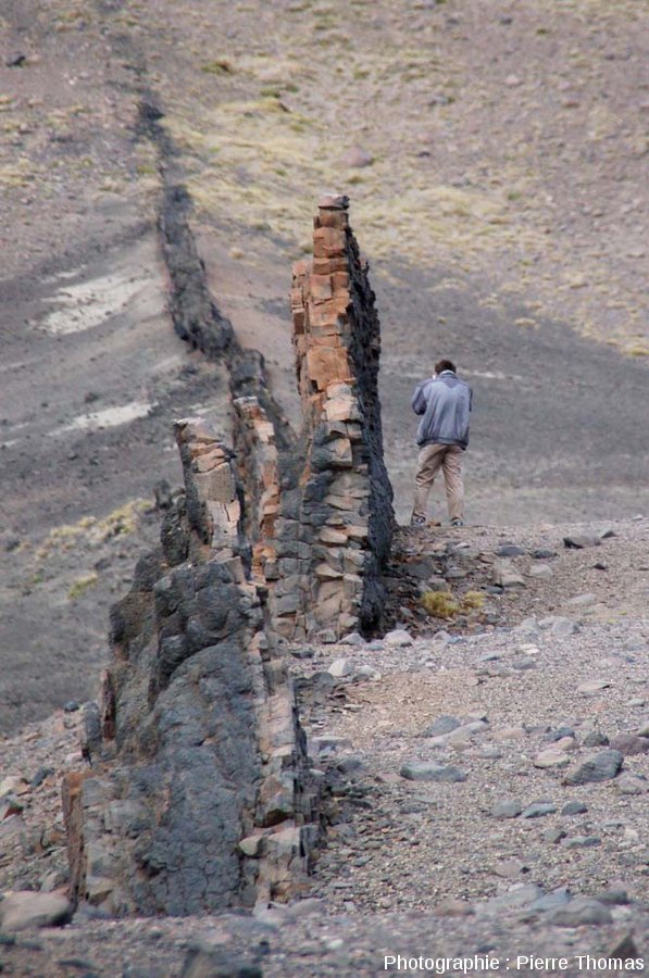 Dique basáltico en la Meseta del Lago Buenos Aires
#Argentina 🇦🇷

📷⤵️Planet Terre
planet-terre.ens-lyon.fr/ressource/Img4…