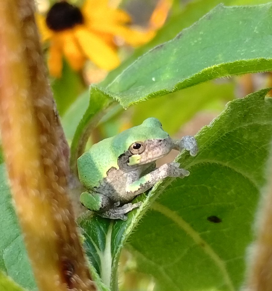 jonah (@j_0xff) on Twitter photo 