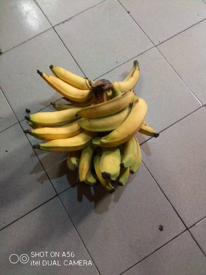 Traditional_Man tweet media