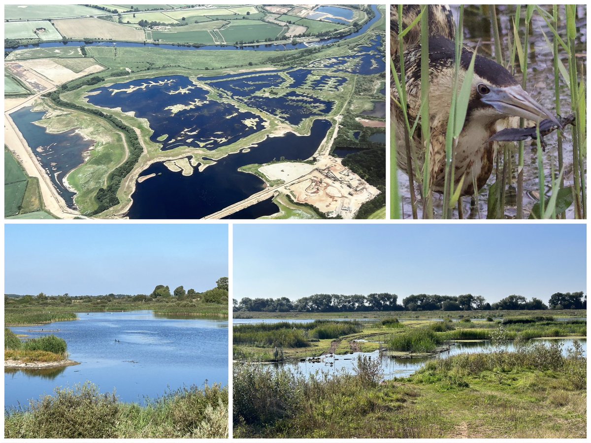 A visit to RSPB Langford Lowfields to view reedbed work. With c40 ha of up to 90 created in old mineral workings, this is one for the future. An excellent design: good reed/water interface &amp; benefits from River Trent overtopping bringing in fish. 3 Bittern nests in 2023 #23in23