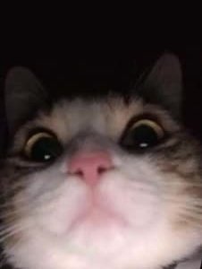 _xbruh_'s tweet image. Going to do a raffle!!!
I will do 4 people
2 normal and 2 suggestive
Just put ur oc in the replies of this qrt, say which one you want (normal or suggestive) and I'll put you on a wheel!
Share this
It's open to everyone!!