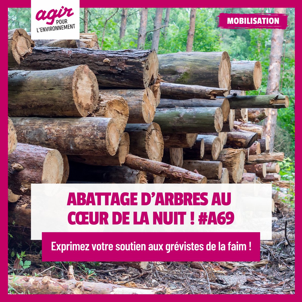 📣 [Appel à soutien] : Abattage d’arbres au cœur de la nuit ! #A69

Écrivez un message de soutien à <a href="/BrailThomas/">Thomas Brail</a>, ainsi qu’aux autres grévistes (Marion, Mathieu, Olga,...), qui se battent depuis 13 jours contre l’autoroute A69  ➡️  lc.cx/ozxG_r

#JeSoutiensLesGrevistes