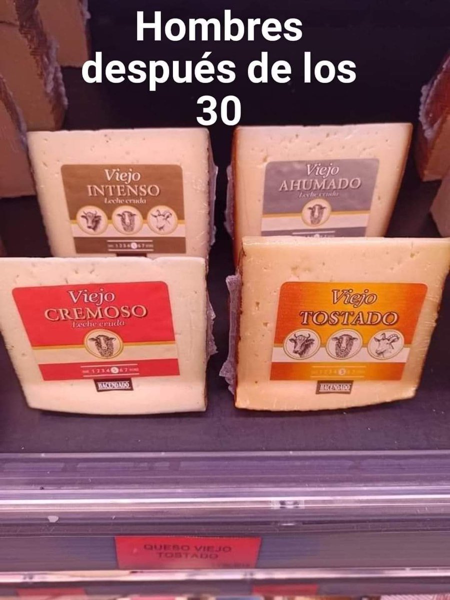 Lupo ✠ tweet media