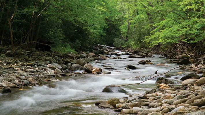 ConservationTrust4NC tweet media