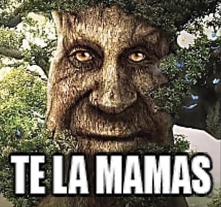 er_morty's tweet photo. @239Sergi https://t.co/QfDAM7qrli