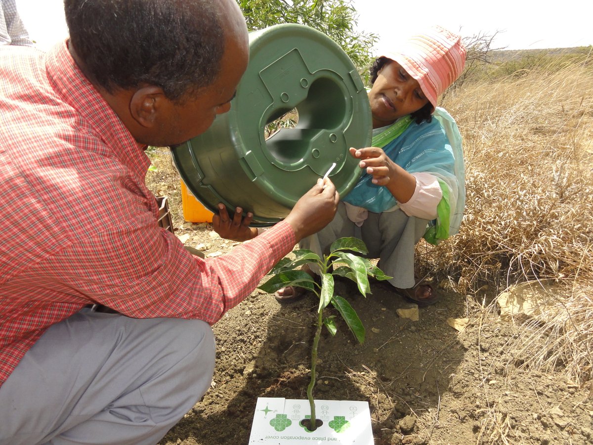 groasis's tweet image. Groundwater in #aquifers is finite, and mankind is quickly #depleting aquifers around the world through #unsustainable #irrigation techniques.
Our #TerraceDixx helps build mini terraces to increase water infiltration. 
theconversation.com/africas-vast-u…
Our  webshop
waterboxx.com/shop-2/?lang=en
