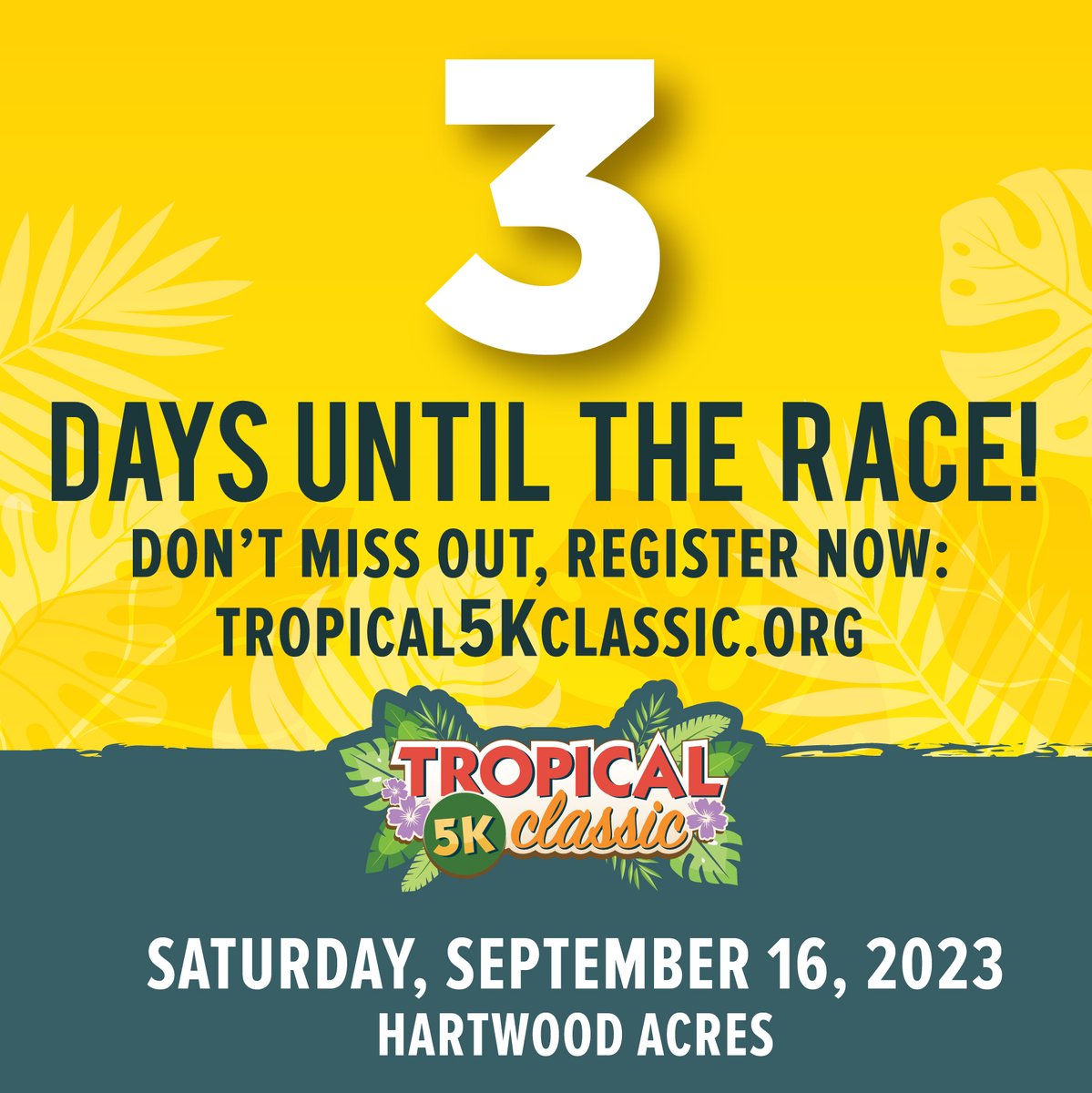 Tropical 5K Classic tweet media