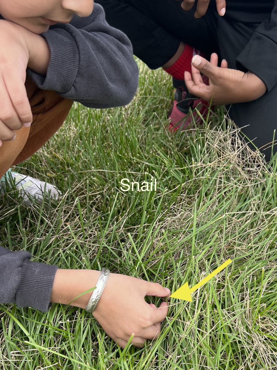 RSP_ESL's tweet photo. Working with some Grade Ones and
Twos @RSP_HDSB to explore circles in our natural environment and connect with the land around us. Great vocabulary building and oral language opportunities in the community circle following the exploration. ⭕️ ☀️ 🐌 🌼 https://t.co/oDfEZw4TEp