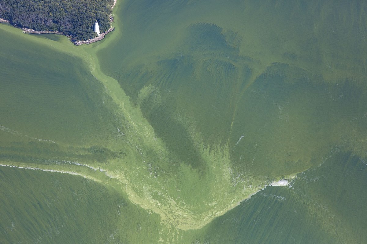 IJC - International Joint Commission tweet media