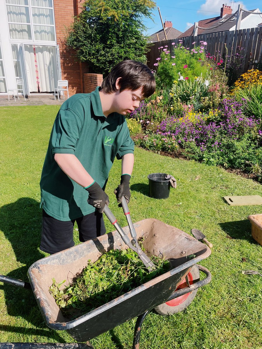 👏🏼Sgiliau newydd, ffrindiau newydd a phrofiadau newydd👏🏼 
Gwaith gwych yn yr ardd heddiw gyda <a href="/V21CyfleCymru/">V21</a> 🧑🏻‍🌾 Another great day in the garden at <a href="/V21CyfleCymru/">V21</a>!
