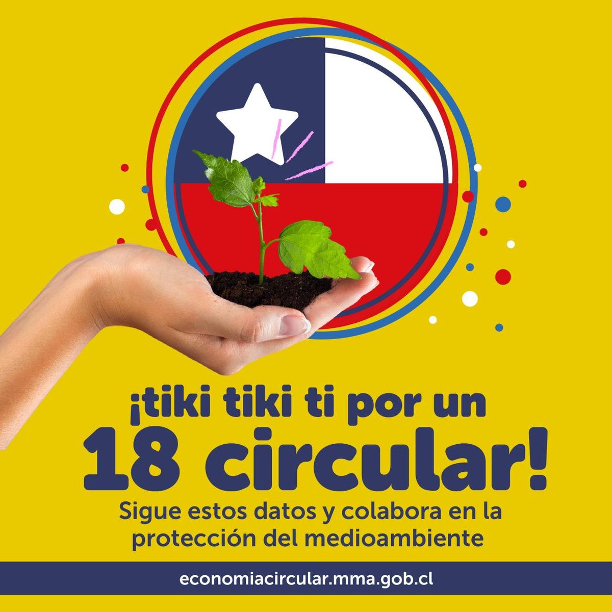 Medio Ambiente Los Ríos tweet media