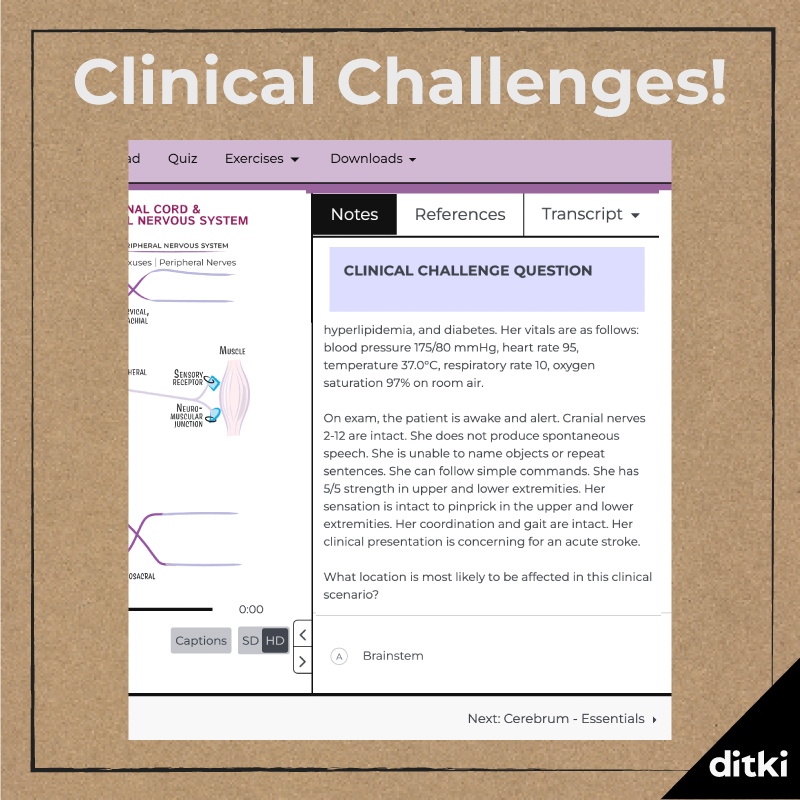 New feature alert!

We're embedding Clinical Challenges into our tutorials - check our Neuroanatomy to see what's coming!

l8r.it/NpZp

#ditki #usmle #meded #neuroanatomy #clinicalquestion #clinicalmedicine
#pance #physicianassistant #medicine #science #nurse