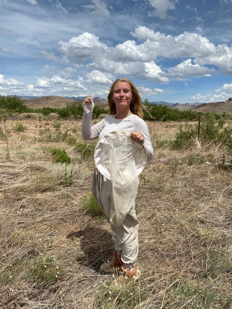 KUbiology's tweet photo. Natalie Herbison, a senior @KU_EEB student, joined KU faculty @vhgonzab in Greece this summer for a National Science Foundation #REU program on pollinators & and climate change. She also attended the world-renowned Bee Course in Portal, Arizona #Bees #ClimateChange #BeeCourse https://t.co/EPulv0yH1k