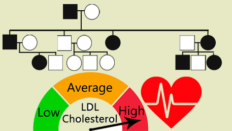 Did you or a family member have high cholesterol at age 50 or younger? If so, this may be genetic, a condition called #FamilialHypercholesterolemia. Take time to learn more for your and your family’s health.  #CholesterolAwarenessMonth: bit.ly/44t3SxT