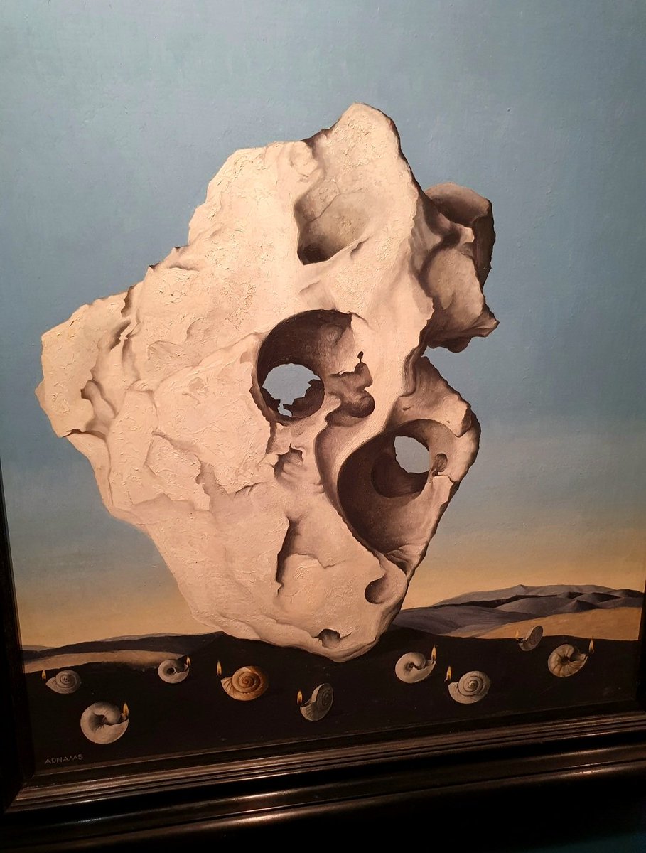 Jennifer Ashby @jenniferashby.bsky.social tweet media