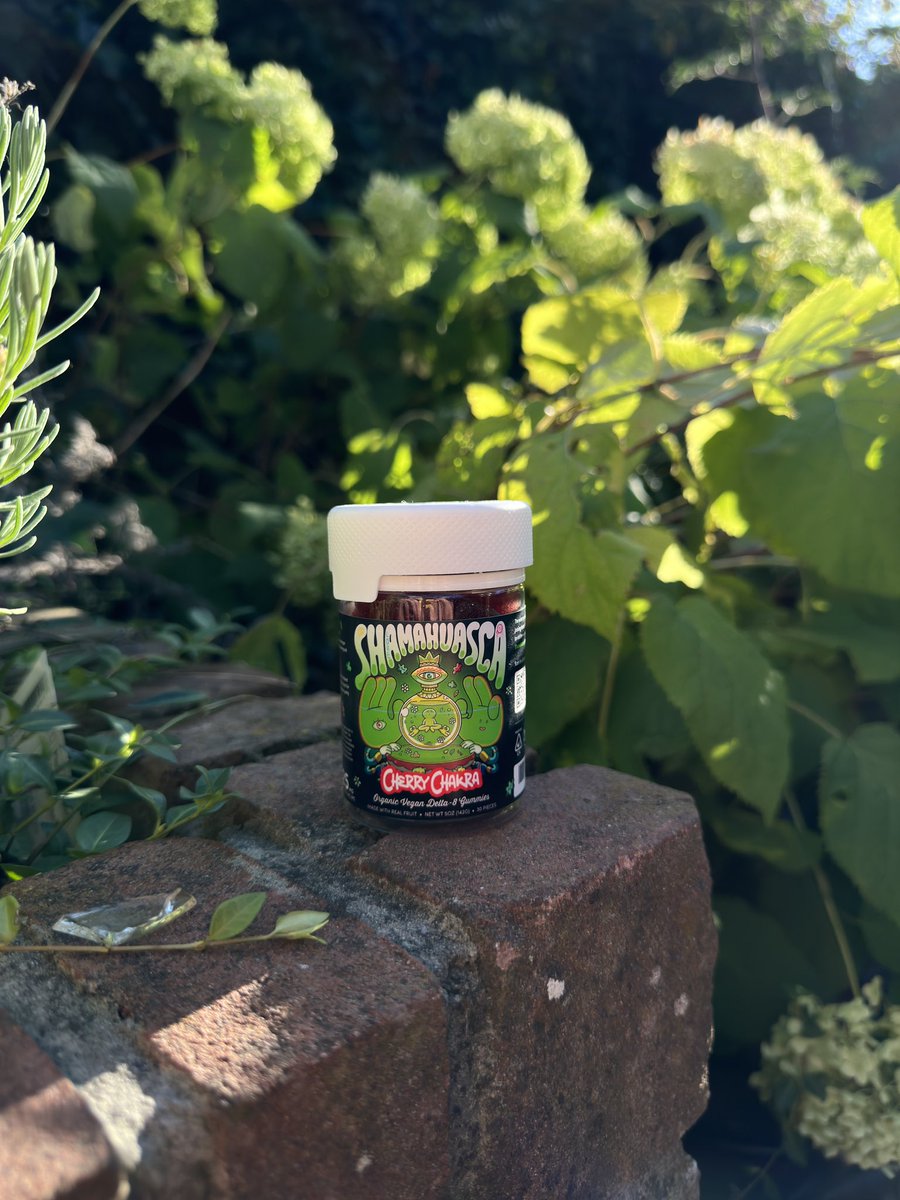 My @Shamahuasca_ Gummies arrived!!

Definitely trying these in the weekend!
Go buy your Delta-8 Gummies with the link below!
shamahuasca.com/?ref=rn01f01r

⚠️USE CODE: JOEYGOD for 20% DISCOUNT⚠️ 

Also giving away 5 <a href="/Shamanzs/">Shamanzs 🔮</a> who use my code when checkout!! 
#shamanzs #gummies