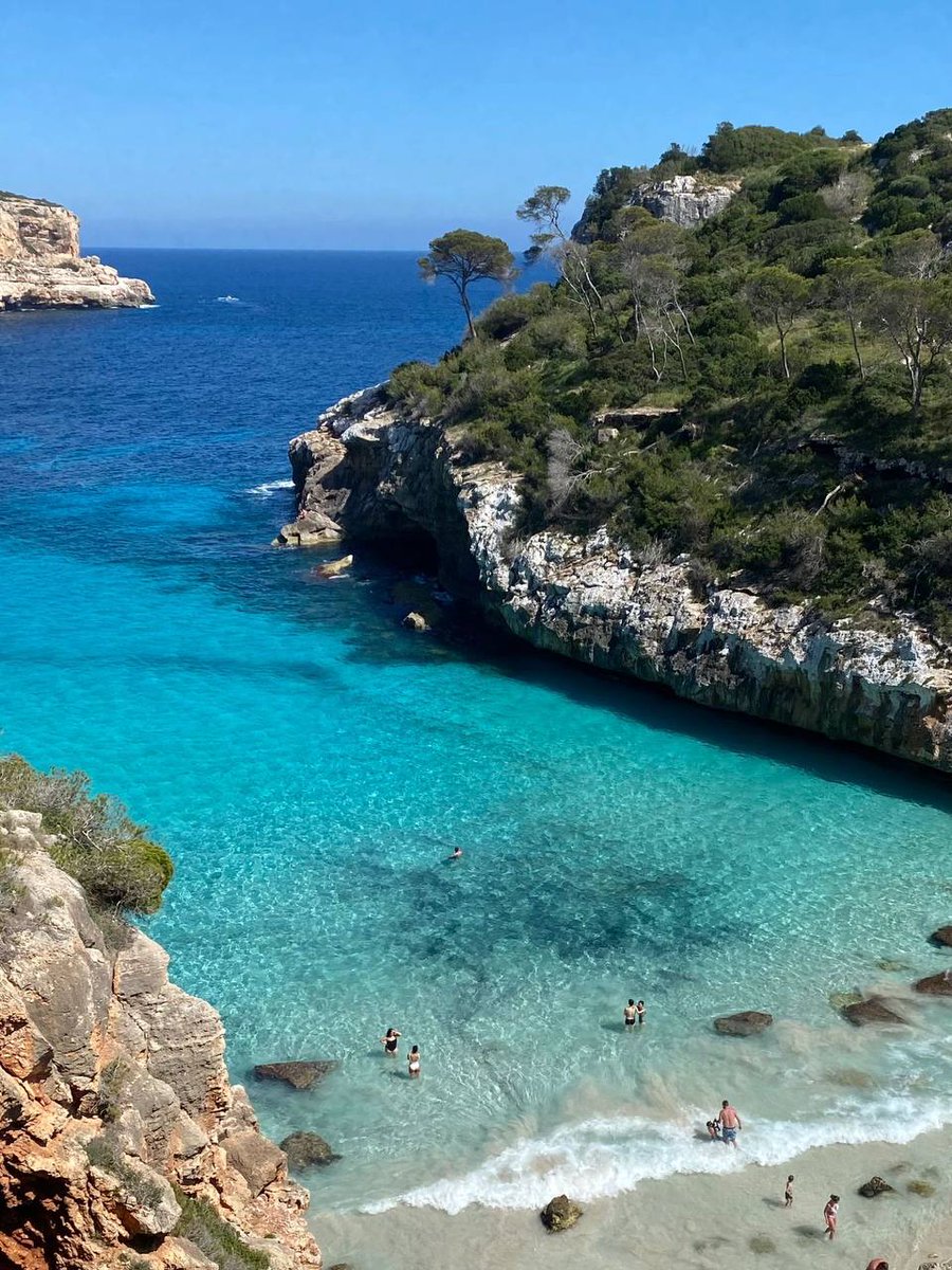 Lu Christina tweet media