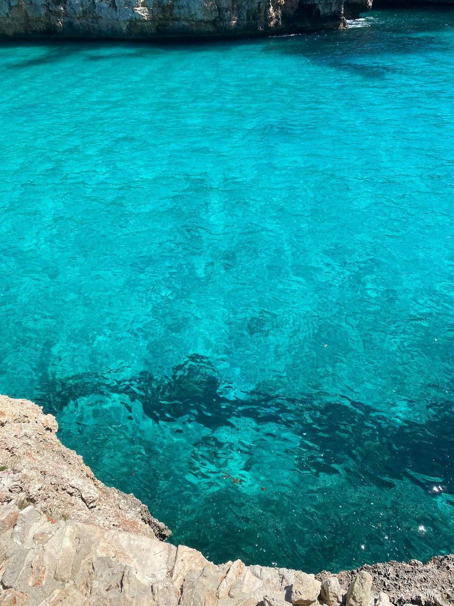 Lu Christina tweet media