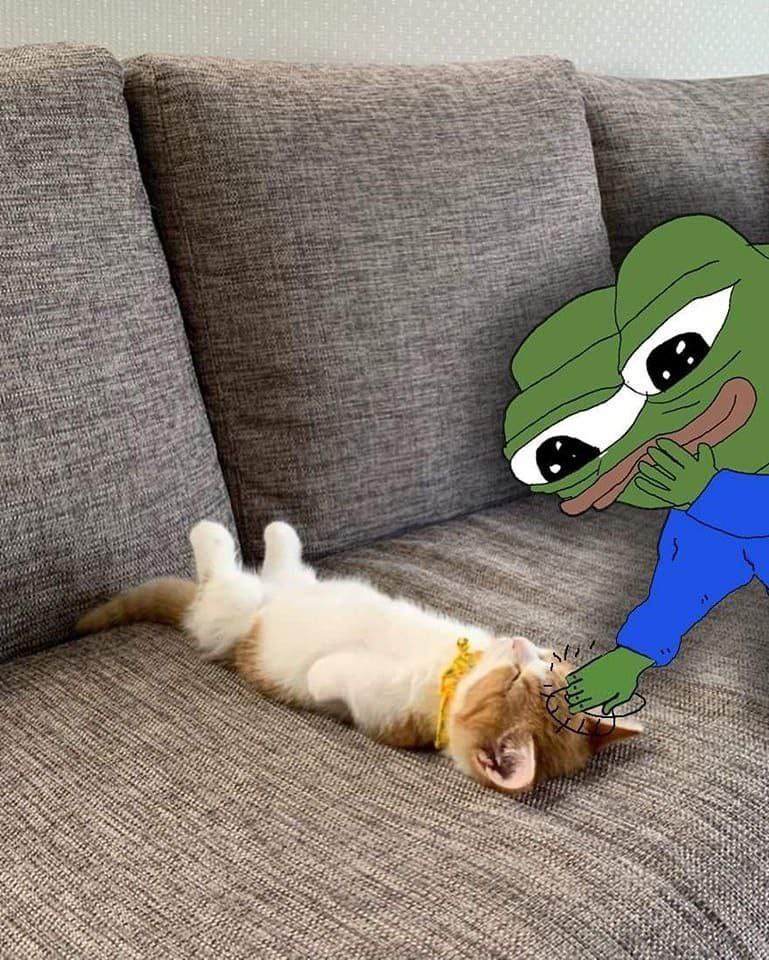 LeGaia1984's tweet image. Press P for pet 
Mi will pet da cat 🐈