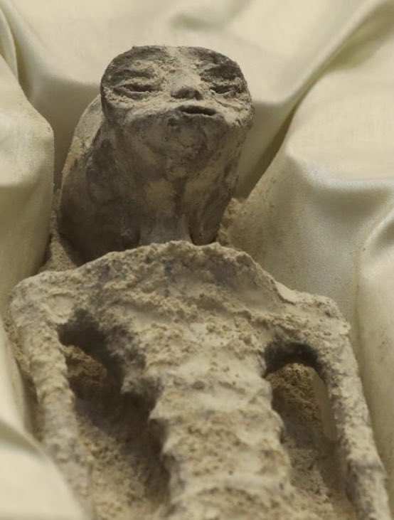 RGA's tweet image. Me celebrating another year in advertising