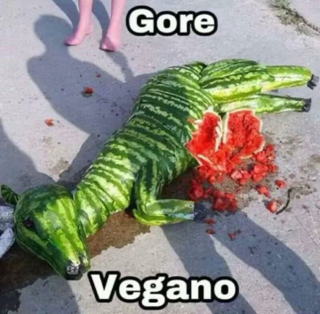 Shitpost só que de verdade (@shitpostverdade) on Twitter photo 