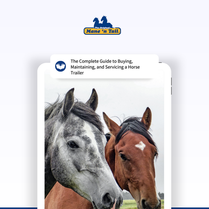 ManeNTail_EU's tweet photo. Just got your hands on "The Complete Guide to Buying, Maintaining, and Servicing a Horse Trailer" by Neva Kittrell Scheve? 📚

It's a must-read for anyone in the horse equipment industry! 

#HorseTrailerGuide #HorseEquipmentIndustry #HorseCare #EquestrianLife #HorseLovers 🐎🛠️ https://t.co/MxU5cIIqYK
